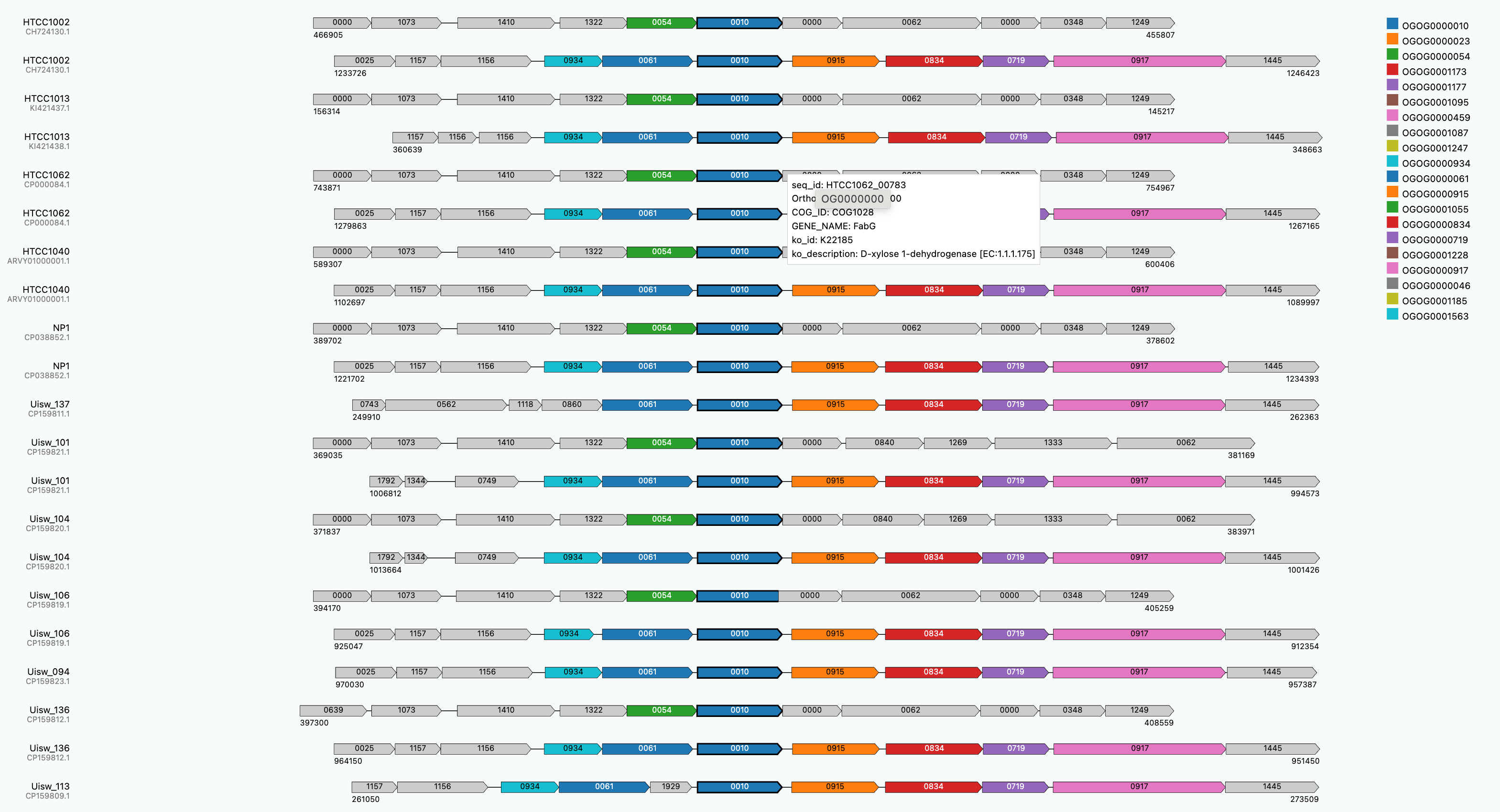 Genome Information preview